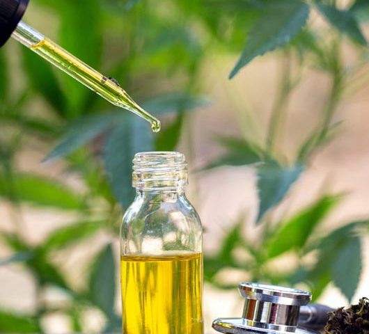Olej CBD - producent olejku CBD z nasion konopi siewnej Cannabis Sativa L.